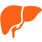 Liver